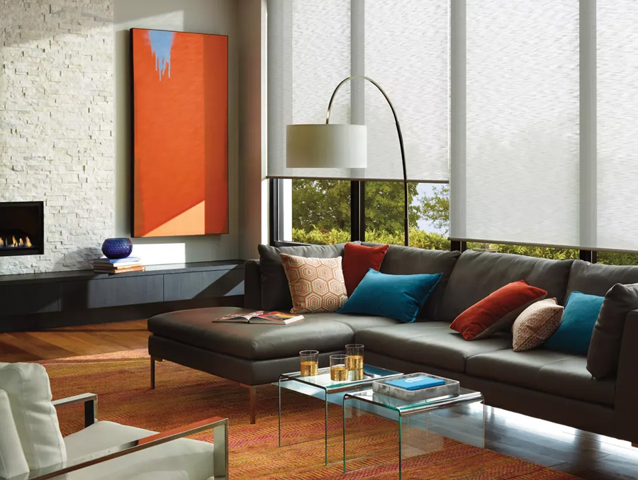 Roller Shades in a living room