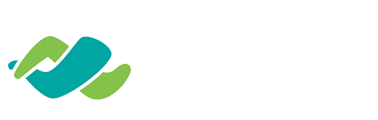 Access Networks