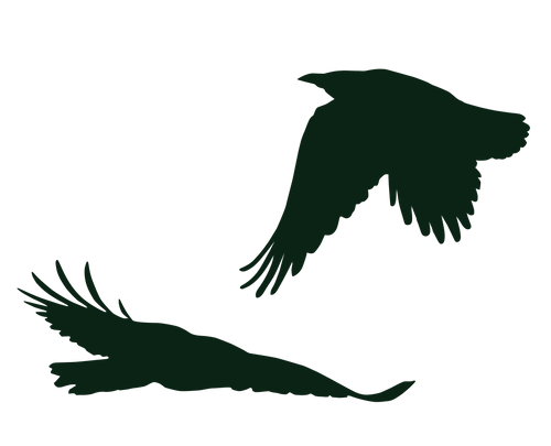 September Reset & Refresh Birds