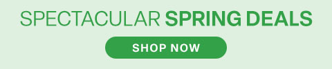 Spectacular Spring Deals - Shop Now