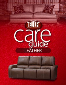 Furniture Care: Leather