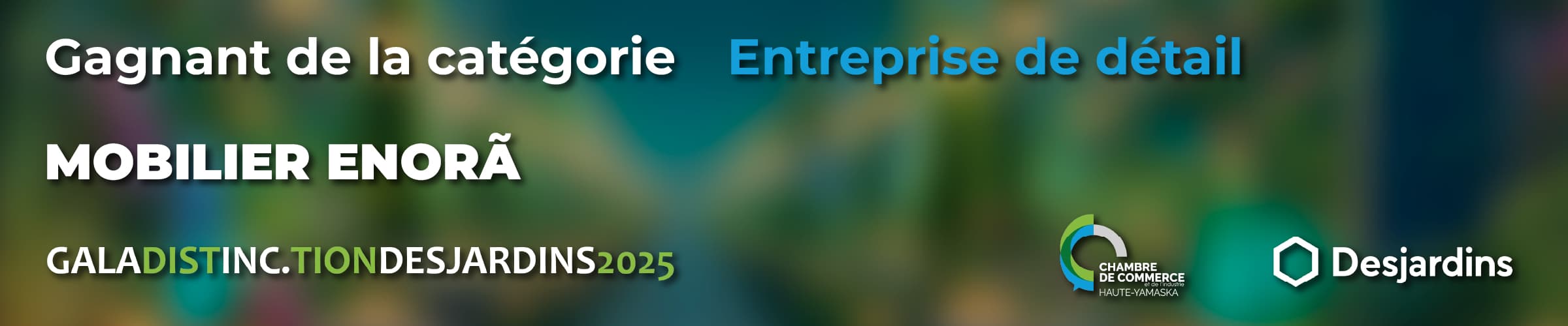 Gagnant de la catégorie - Entreprise de détail