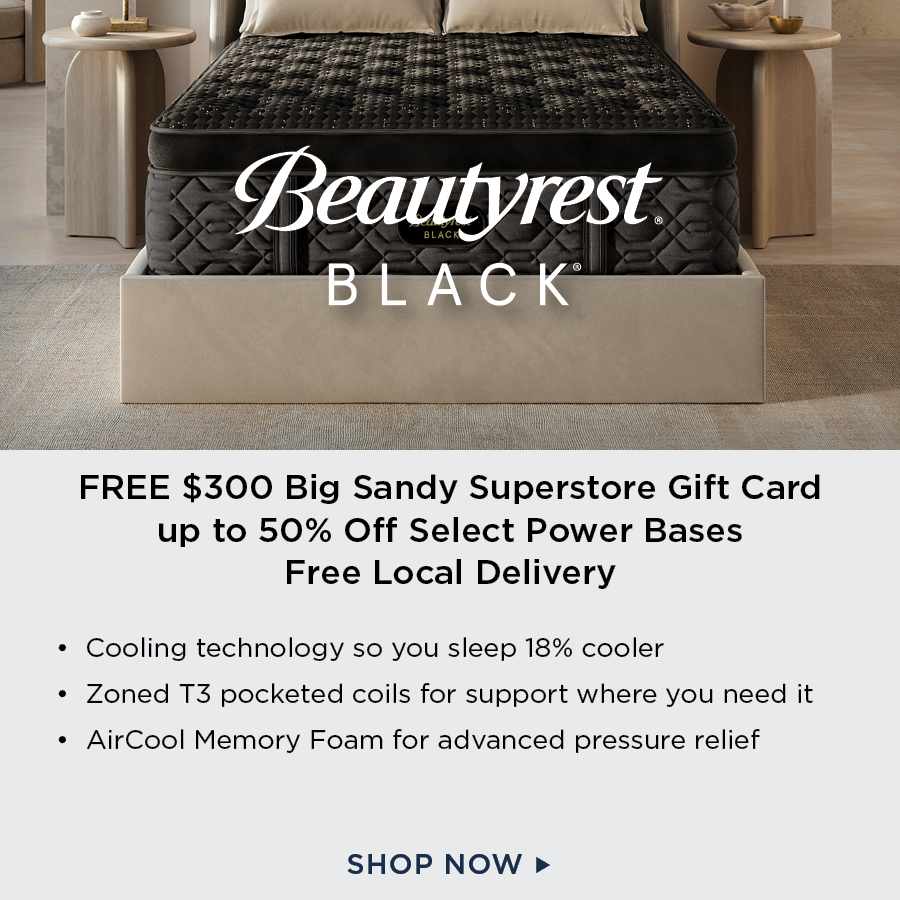 Beautyrest Black Mattresses