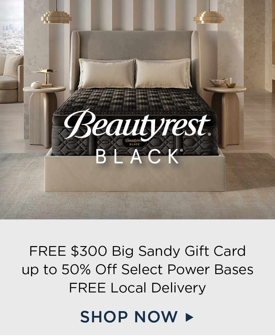 Beautyrest Black Mattresses