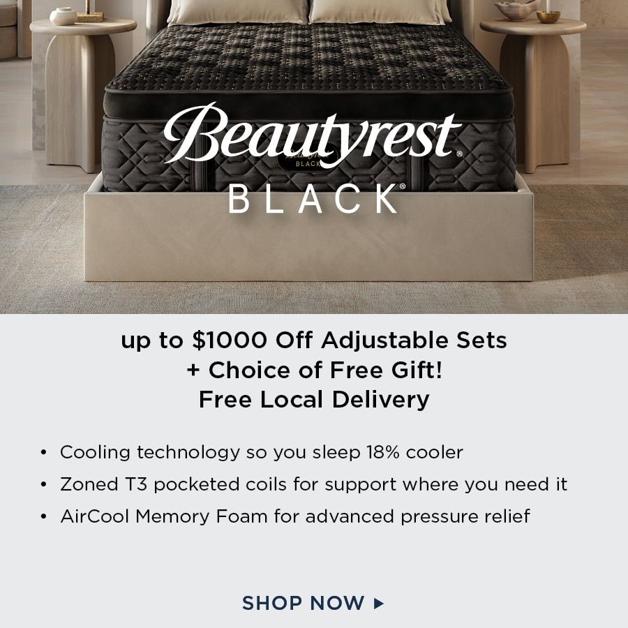Beautyrest Black Mattresses