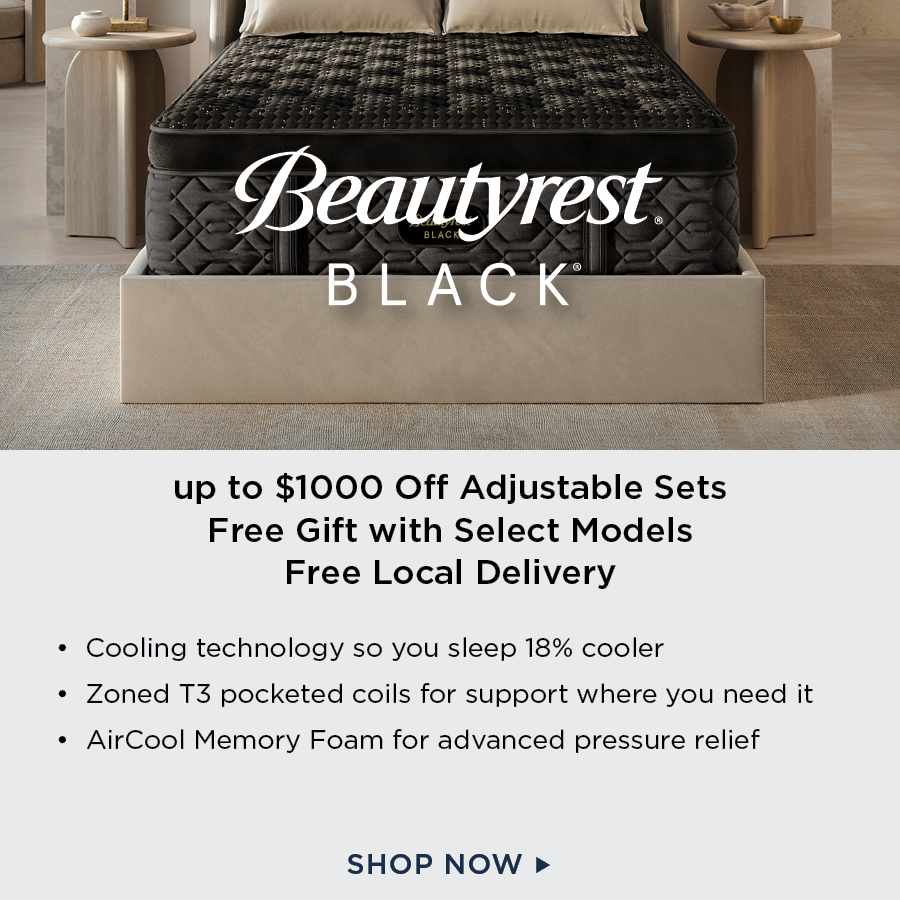 Beautyrest Black Mattresses