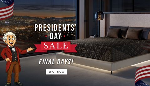 presidents day savings final days