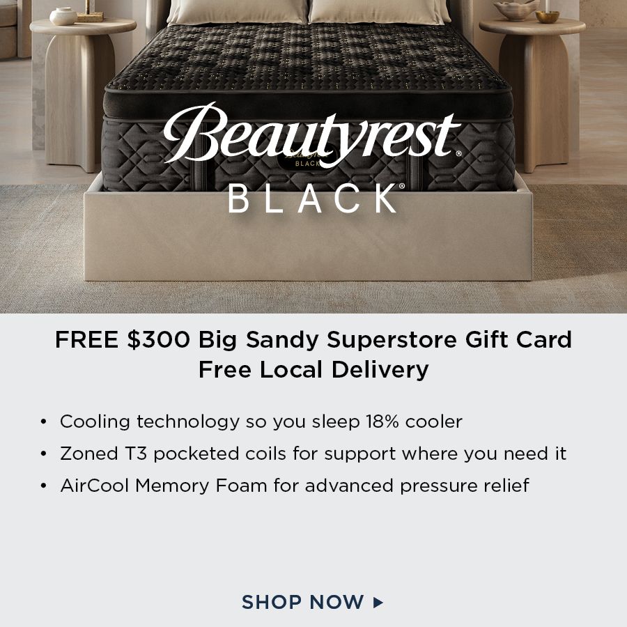 Beautyrest Black Mattresses