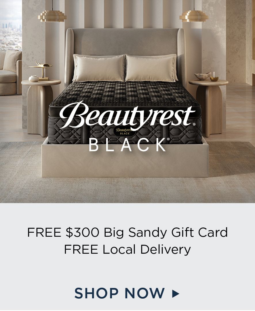 Beautyrest Black Mattresses
