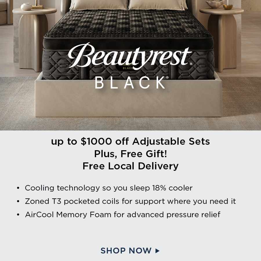 Beautyrest Black Mattresses