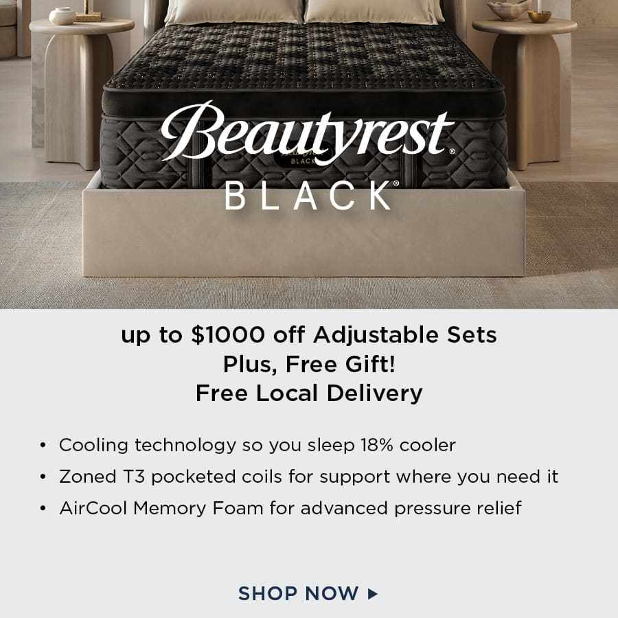 Beautyrest Black Mattresses
