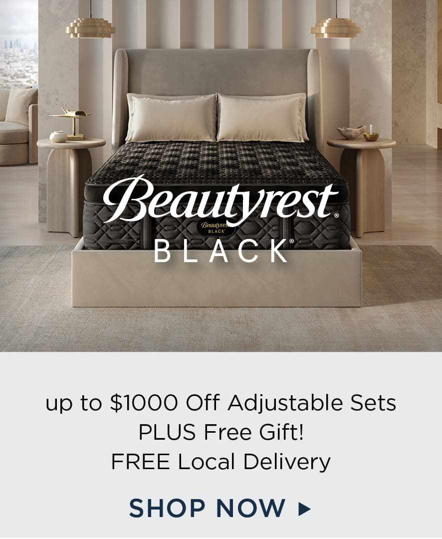Beautyrest Black Mattresses