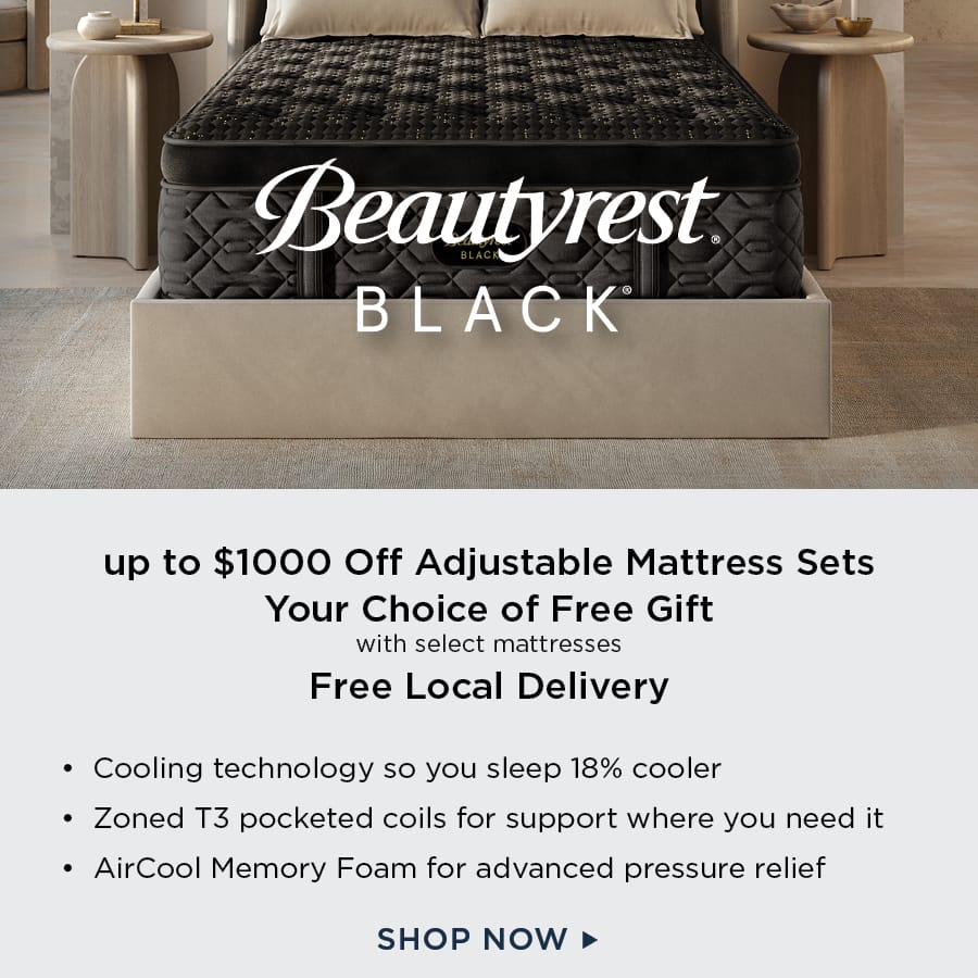 Beautyrest Black Mattresses