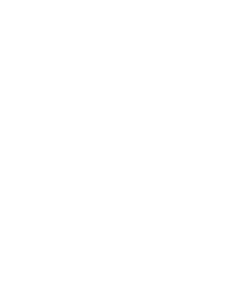 100% USA Assembled