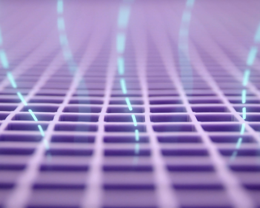 Purple Plus