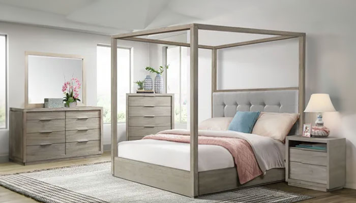 Canopy bedroom set in a modern room