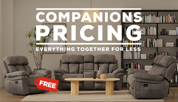 Companions Pricing, Everything together for left text over a living room set