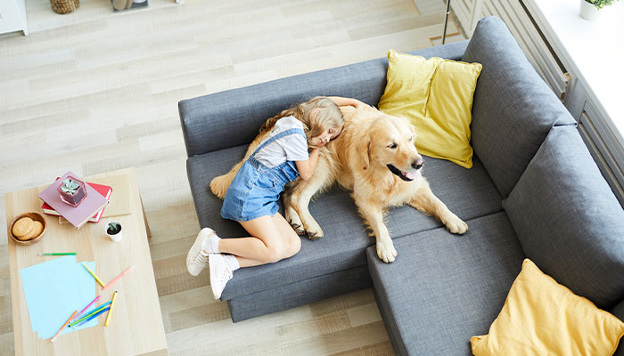 4_FurnitureProtectionPlanWorthIt_700x400