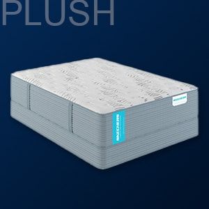 Skechers Plush Mattress