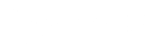 Symmetry Logo