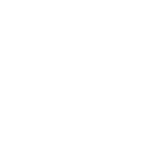 Wellness Series Logo
