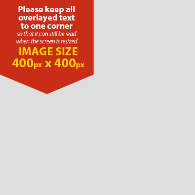 Alt_text_here
