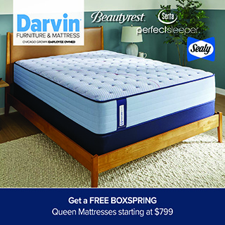 A promotional advertisement for a mattress sale at Darvin Furniture & Mattress. The image showcases a thick premium mattress with a light blue and white patterned tufted top and a dark blue lower border, displayed on a warm-toned, mid-century modern wooden bed frame. The bed is set on a cream-colored shag area rug over hardwood floors. In the background, the bedroom wall features a two-tone design with teal on the lower half and cream on top, styled with a small white lamp on a bedside table and a tall potted plant. The Darvin Furniture & Mattress logo is positioned in a white block in the upper left corner. The top right corner displays white brand logos for 'Beautyrest' and 'Serta perfect sleeper', alongside a blue square logo for 'Sealy'. A solid dark blue banner runs across the bottom with white text that reads, 'Get a FREE BOXSPRING' stacked above 'Queen Mattresses starting at $799'.