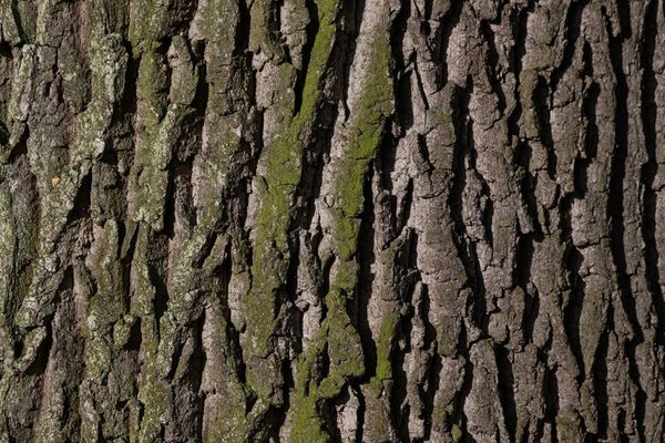 Solid Hardwood