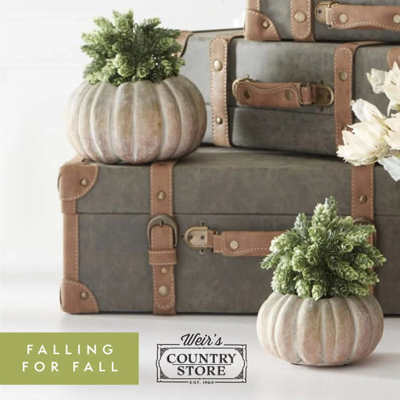 Click for 2025 Fall Lookbook