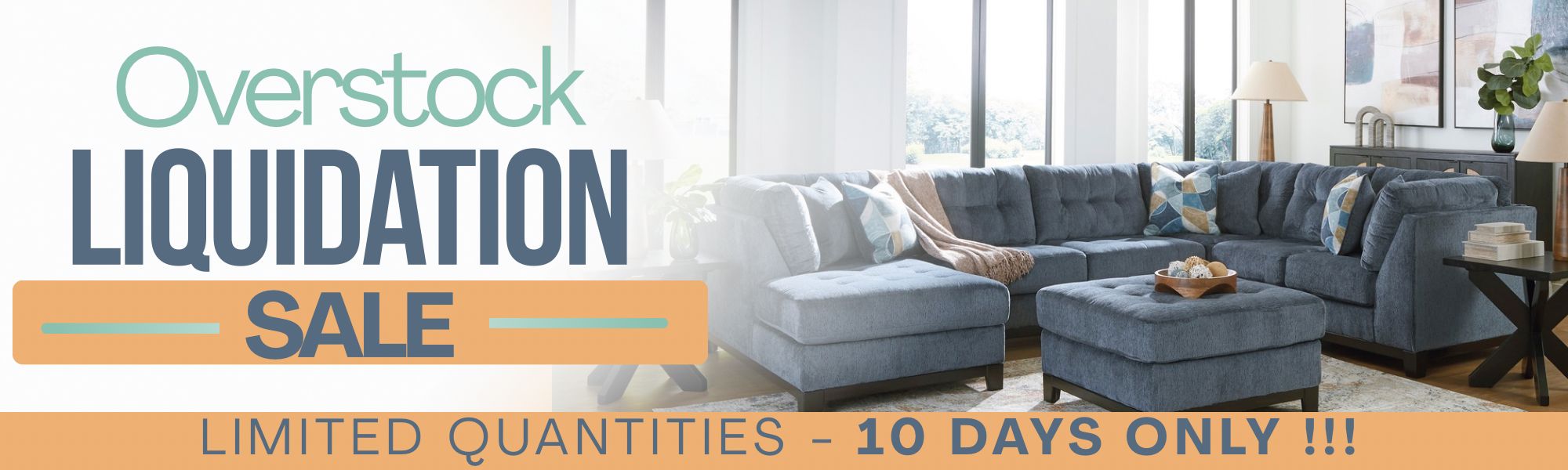 overstock liquidation sale - limited quantities - 10 days only!