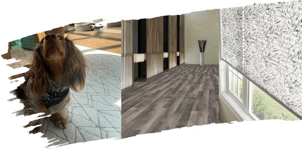 Flooring & Window Treatment
