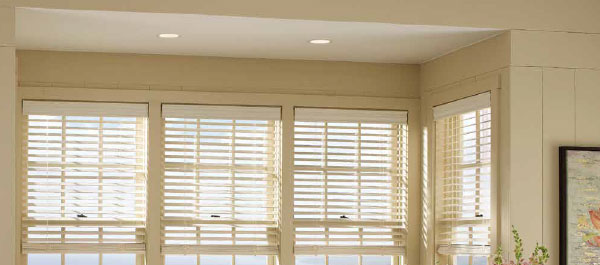 Intelligent Lighting & Shades image