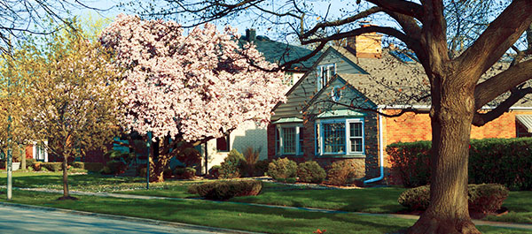 Residential & Commercial image