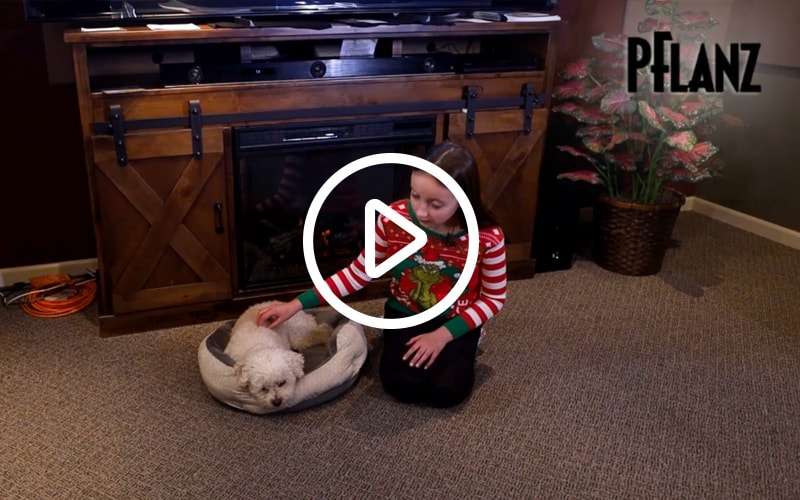 Christmas Commercial