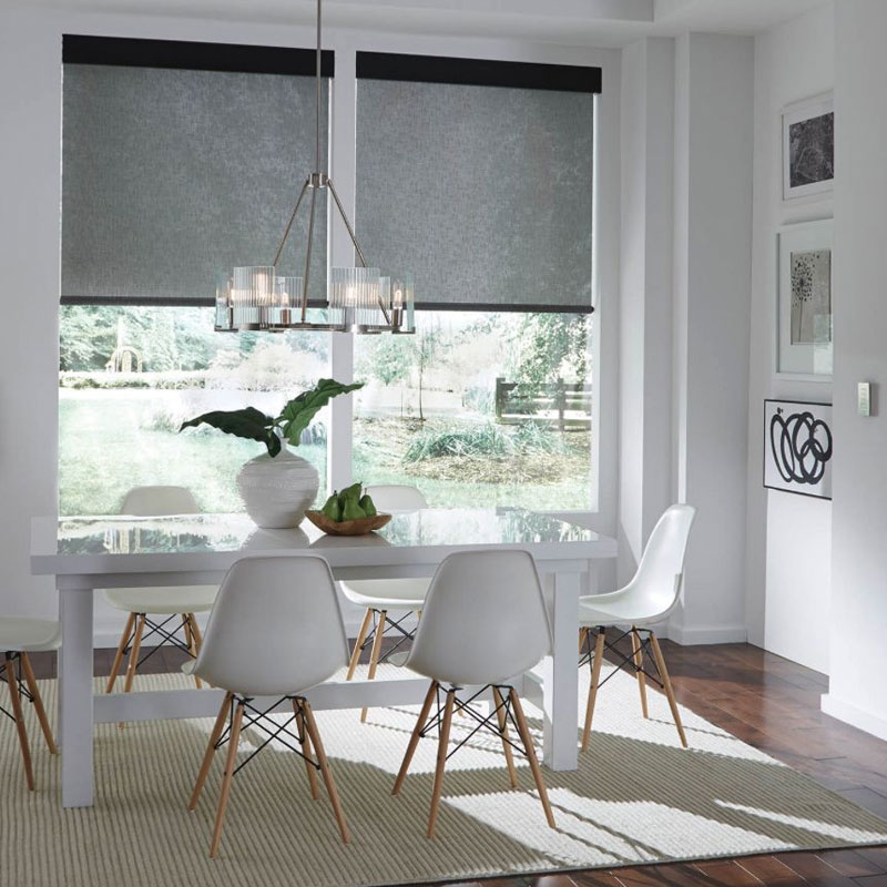 Motorized Shades