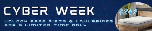 Cyber Week Sale - Free Gifts with Qualifying Purchases