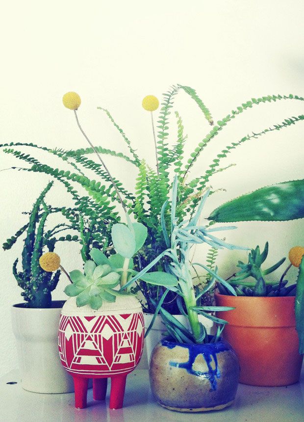 Indoor Garden
