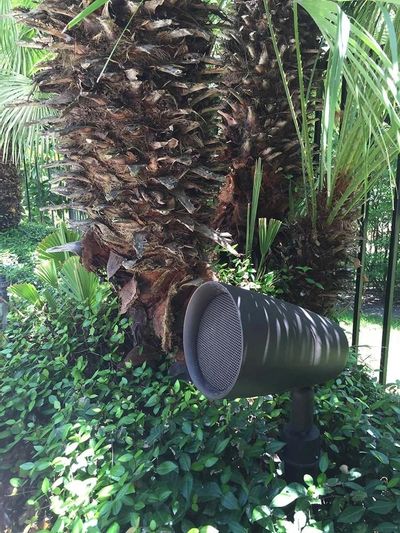 Outdoor AV Photo
