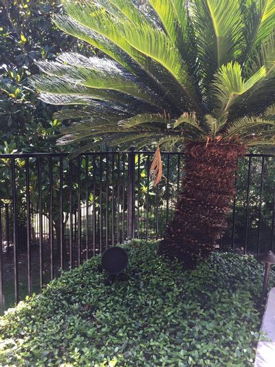 Outdoor AV Photo