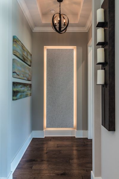 Lake Hollingsworth - Transitional