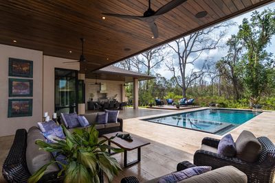 Lake Hollingsworth - Transitional