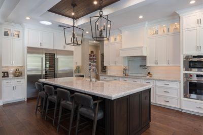 Lake Hollingsworth - Transitional