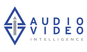 Audio Visual Intelligence