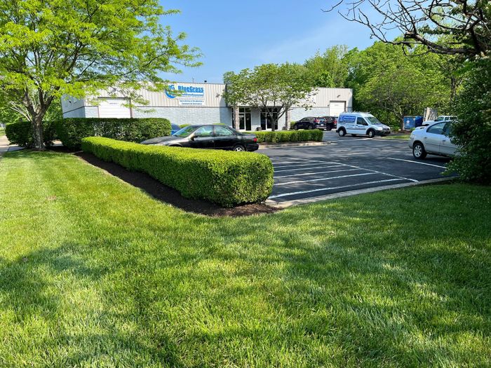 Bluegrass Showroom