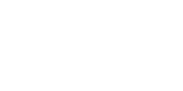 DIR Logo