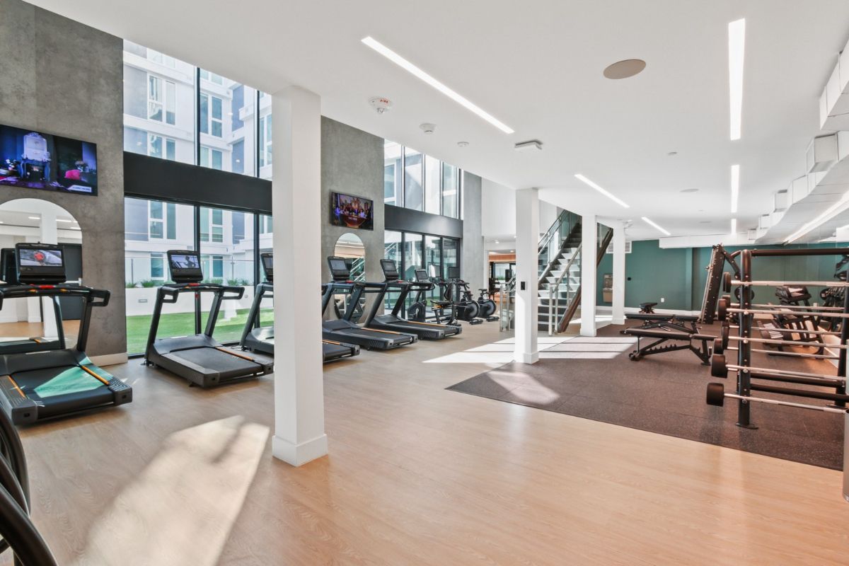 Gallery image