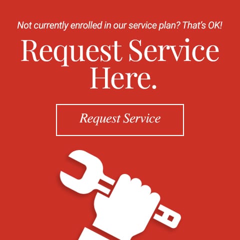Schedule Consultation