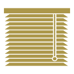 Motorized Shades