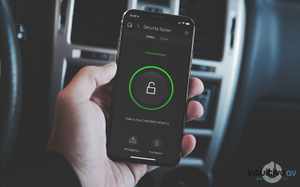 Security, Cameras, & Gate Automation