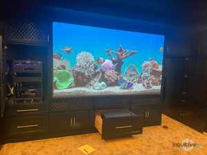 Theater & Media Rooms